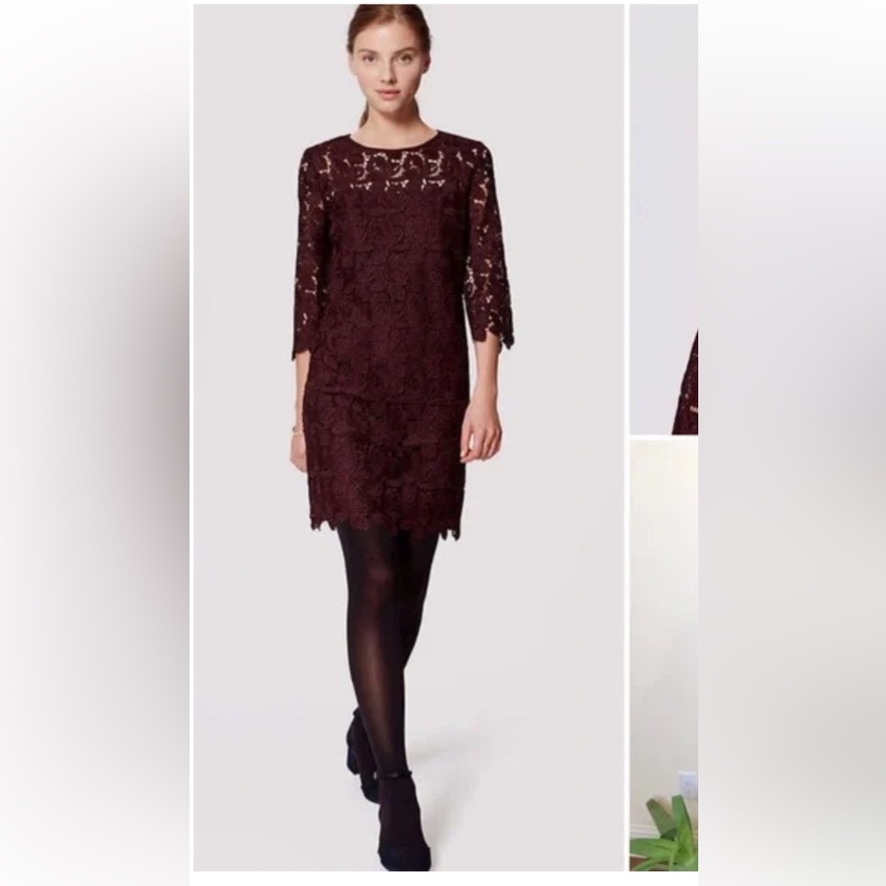 LOFT Burgundy/Plum  Long Sleeve Lace Dress- worn‎ about 3-4x